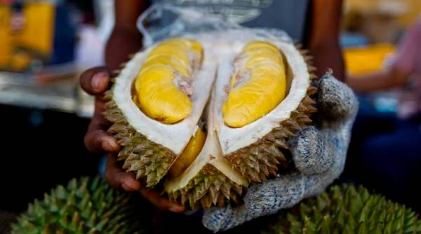 durian fruit smell, fruit smell gas leak, fruits with pungent smell, gas leak panic, Australian weird fruit, weird news, indian express, indian express news