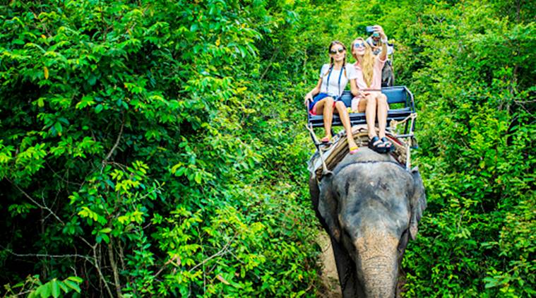 Shocking Blind Elephants Used For Joyrides At Popular Tourist Fort Sites Trending News The Indian Express