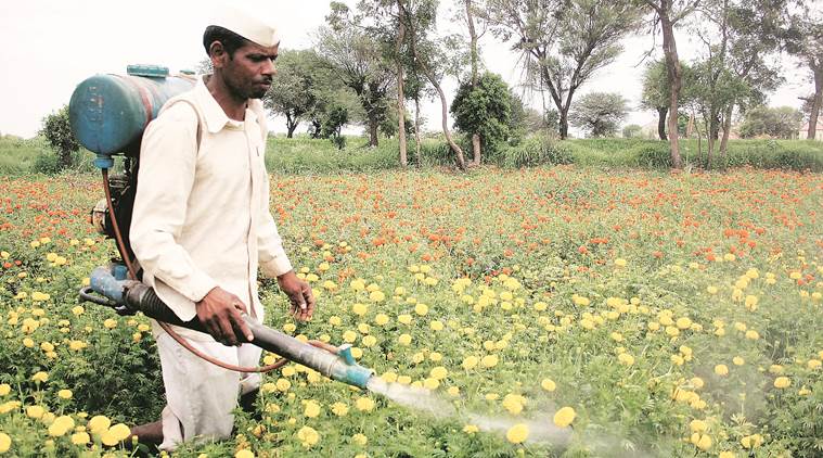 Maharshtra government to deploy drones to spray insecticide on cotton crop