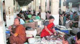 Maharashtra plastic ban: Tough time for fish, meat sellers in Mumbai without alternative options