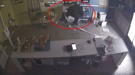 thief hit his head, thief hit his head while stealing a money box, funny robbery videos, lousy videos