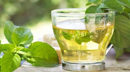 Best detox drinks to lose weight fast, try green tea, mint, honey