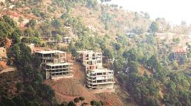 The petition in the NGT was filed by Society for Preservation of Kasauli and its environs. (Express photo)