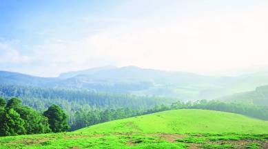 Biome, living around plants, living with flora and fauna, common characteristics in plants and humans, travel, places to travel, indian express, indian express news