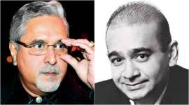 vijay mallya, nirav modi, mehul choksi, SFIO, defaulters, defaulters who fled country, money laundering case, indian express