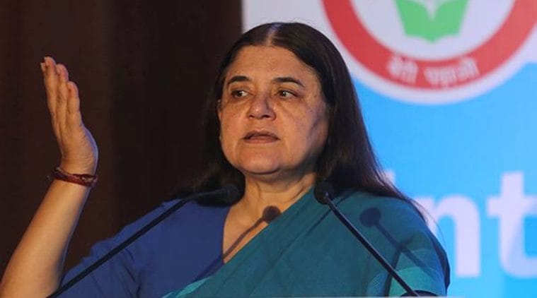 Maneka Gandhi, MeToo movement, MeToo campaign, MJ Akbar, sexual harassment, sexual harassment against women, women exploitation, indian express