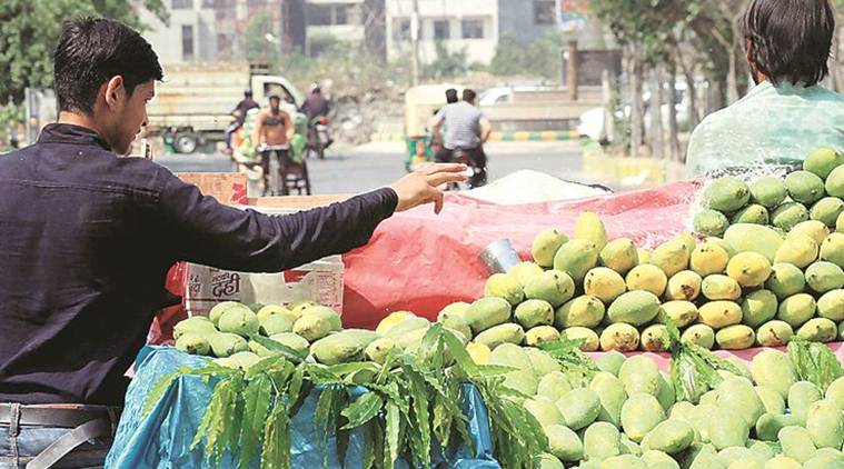 Ahmedabad Municipal Corporation, ahmedabad mangoes, Ahmedabad health department, artificial ripening agents