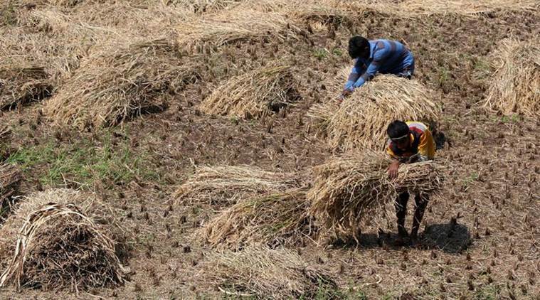 How MGNREGA can be re-engineered for doubling of farmers’ incomes ...