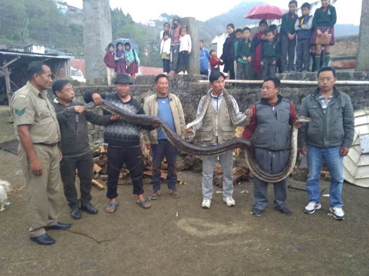 Nagaland hunts for a way out of its bloody tradition, shows some success | North East India News,The Indian Express Nagaland hunts for a way out of its bloody tradition, shows some success | North East India News,The Indian Express