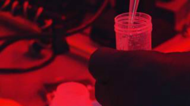 NASA microbes study, climate change, microbes in the sea, The North Atlantic Aerosols and Marine Ecosystems Study, phytoplankton bloom, aerosol measurements, atmospheric content, 