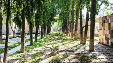 increasing green area, memorial space conversion, planting trees, covering area with trees, memorial space, in Hyderabad, indian express, indian express news