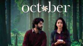 October box office collection Varun Dhawan film