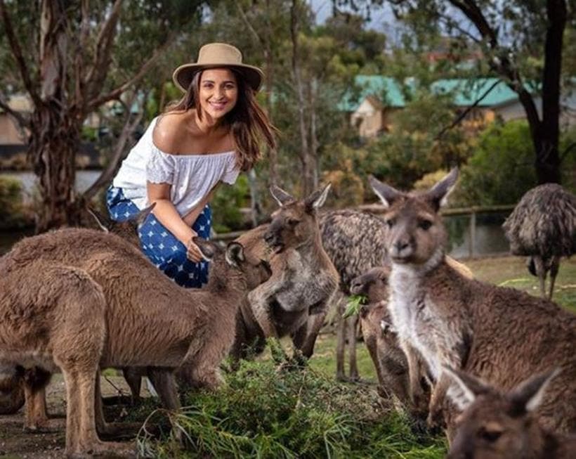 parineeti chopra in melbourne Ballarat Wildlife Park