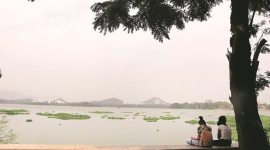 mumbai city news, powai lake, bmc, crocodile park, indian express