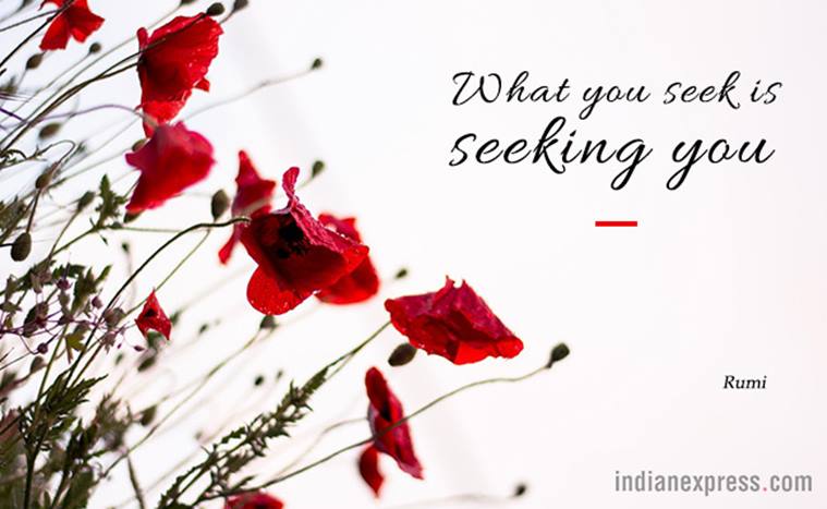 10 Wistful Quotes By Rumi Trending In India News The