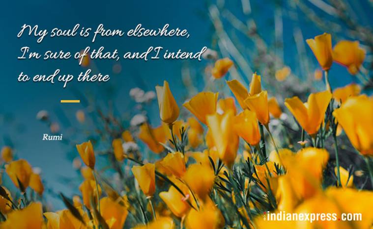 10 Wistful Quotes By Rumi Trending News The Indian Express