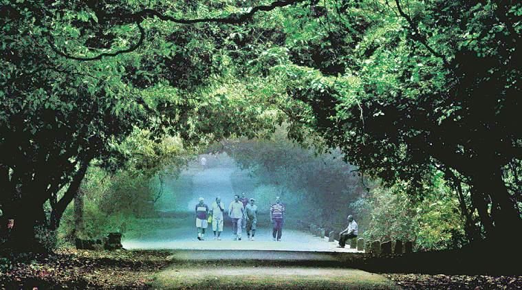 Study by IIT-Bombay, NGO Sanjay Gandhi park to gauge its contribution to Mumbai’s ecosystem