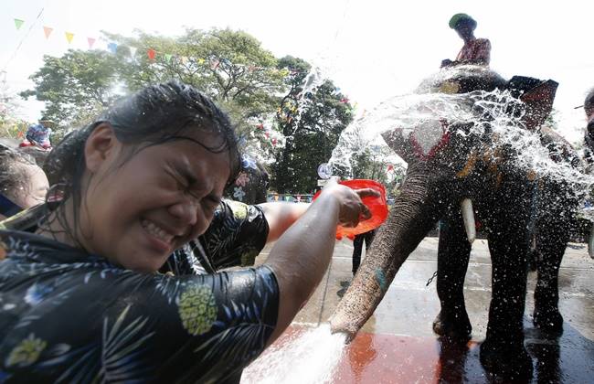 Songkran, Songkran 2018, Songkran festival, Songkran thailand new year, Songkran buddhist new year, water water-splashing Songkran festival with elephants, indian express