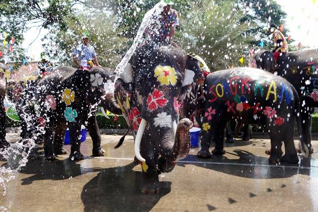 buddhism elephant festival