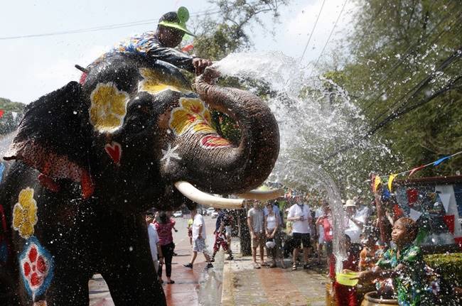 Songkran, Songkran 2018, Songkran festival, Songkran thailand new year, Songkran buddhist new year, water water-splashing Songkran festival with elephants, indian express