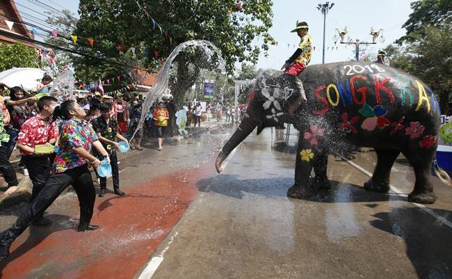 Songkran, Songkran 2018, Songkran festival, Songkran thailand new year, Songkran buddhist new year, water water-splashing Songkran festival with elephants, indian express