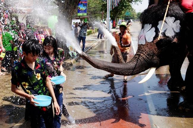 Songkran, Songkran 2018, Songkran festival, Songkran thailand new year, Songkran buddhist new year, water water-splashing Songkran festival with elephants, indian express