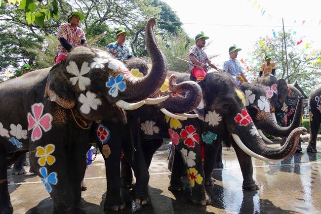 Songkran, Songkran 2018, Songkran festival, Songkran thailand new year, Songkran buddhist new year, water water-splashing Songkran festival with elephants, indian express