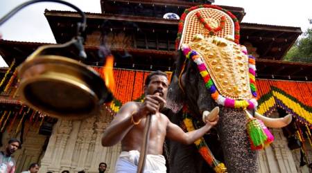 thrissur pooram, thrissur pooram 2019, thrissur pooram celebrations, thrissur pooram festival, thrissur pooram kerala, thrissur pooram celebrations kerala, thrissur pooram in malayalam, thrissur pooram elephants, Kerala elephant owners, kerala elephants, kerala, kerala news, Thrissur Pooram festival, elephants temple festivities,