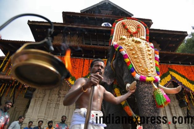 thrissur pooram, thrissur pooram 2018, thrissur pooram celebrations, thrissur pooram festival, thrissur pooram kerala, thrissur pooram celebrations kerala, thrissur pooram in malayalam, thrissur pooram elephants, indian express, indian express news