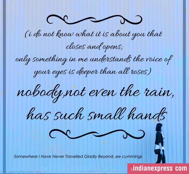 poems, Poem On Your Pillow Day, poems on pillow day, quotable quotes, indian express, indian express news