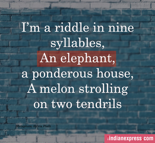 poems, Poem On Your Pillow Day, poems on pillow day, quotable quotes, indian express, indian express news