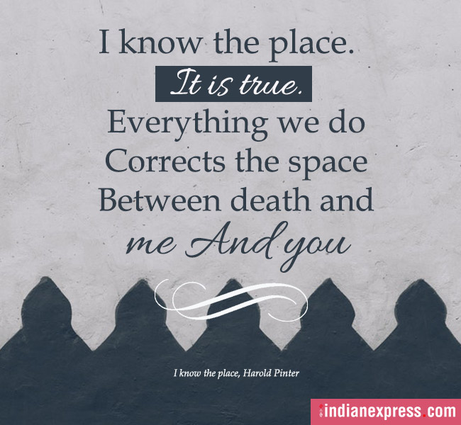 poems, Poem On Your Pillow Day, poems on pillow day, quotable quotes, indian express, indian express news