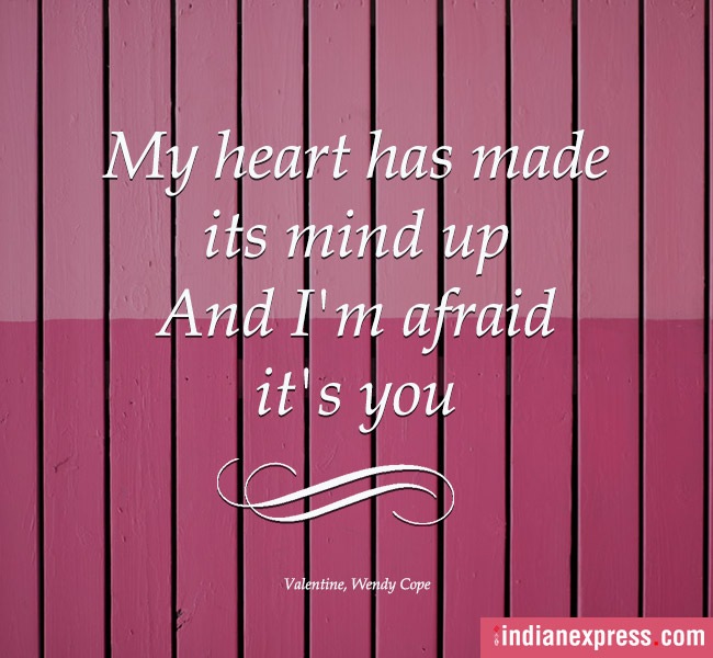 poems, Poem On Your Pillow Day, poems on pillow day, quotable quotes, indian express, indian express news