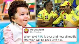 IPl 2018, Ipl dhoni csk win, after IPl effects, IPL after effects, IPL csk win, IPL dhoni csk srh, IPl Watson csk, Ipl 2018 stats, what to do after IPL, indian expres, indian express trending news