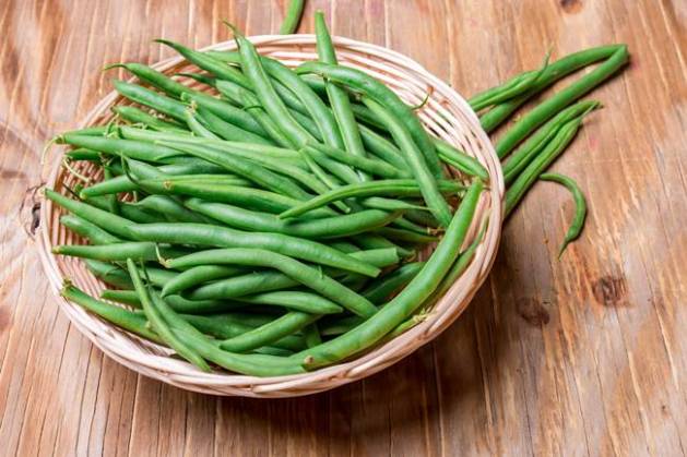 green beans, green beans benefits, green beans side effects, green beans advantages, green beans salad, green beans cooking recipes, green beans health benefits, green beans harmful health, green beans kids, indian express, indian express news