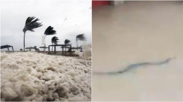 cyclone mekunu, floods in mangalore, mekunu in mangalore, cyclone floods in mangalore, mekunu in oman, mekunu videos, mekunu cyclone viral videos, mekunu viral videos social media, Indian express, Indian express news