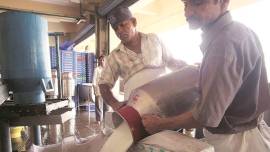 maharashtra, dairy farmer, amul, milk production, jowar, animal husbandry, maize, gokul, pune news, indian express