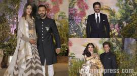 sonam kapoor and anand ahuja's reception