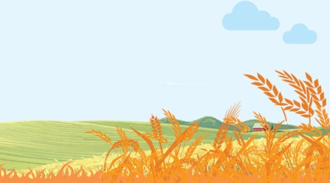 (Illustration: Sarfaraz Alam)