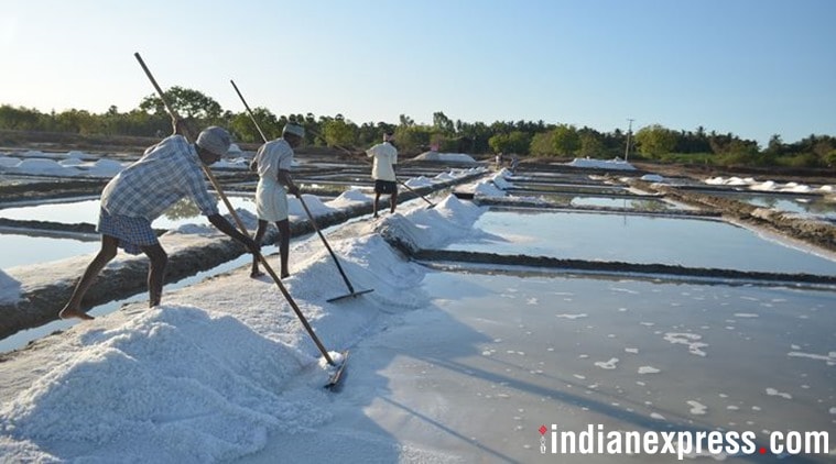 Labour Day: Tamil Nadu salt pan workers fight low wage, temporary ...