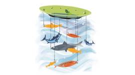 Central Marine Fisheries Research Institute (CMFRI) will develop hatchery for oysters and mussels.