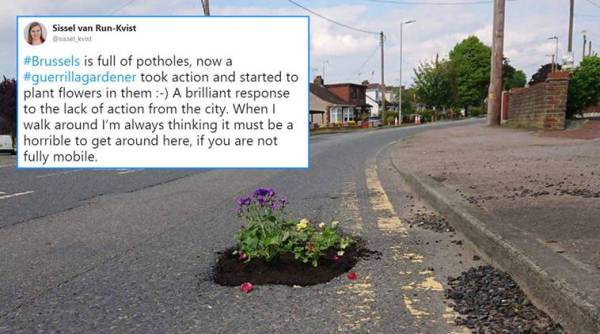 potholes filled with flowers, people filling potholes with flowers, man filles potholes with flowers, bad roads filled with flowers, indian express, indian express news