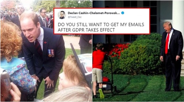 gdpr, gdpr funny memes, what is gdpr, what is dpr, gdpr Twitter, GDPR Twitter buzz, GDPR funny Twitter memes, GDPR funny viral, Indian express, Indian express News