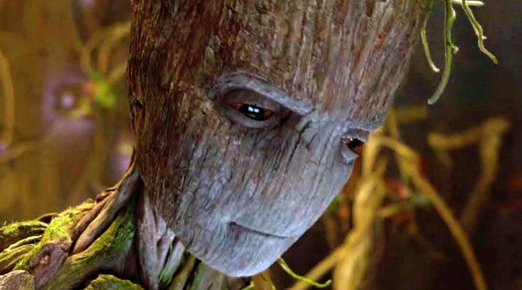 Avengers Infinity War: Groot's final line revealed and it 