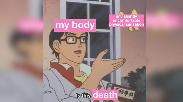 The Internet is filled with ‘Is this a pigeon?’ meme and they are way