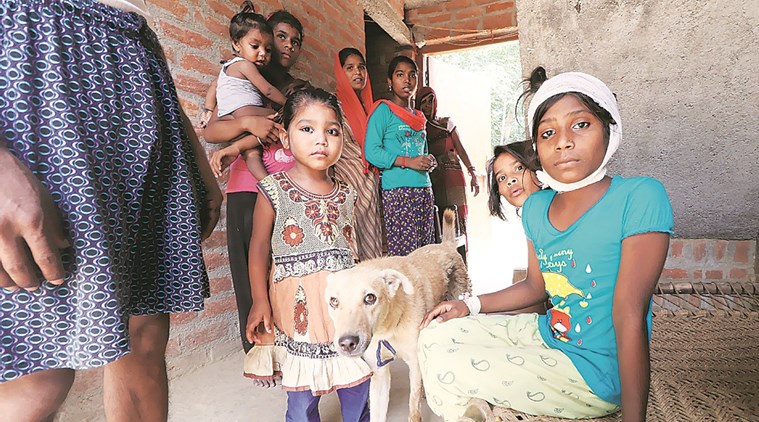 Pallavi, 13, one of the victims, with her pet in Sitapur. (File)