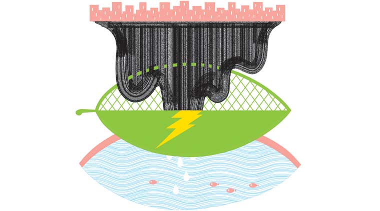 Who pays to save this lake?
