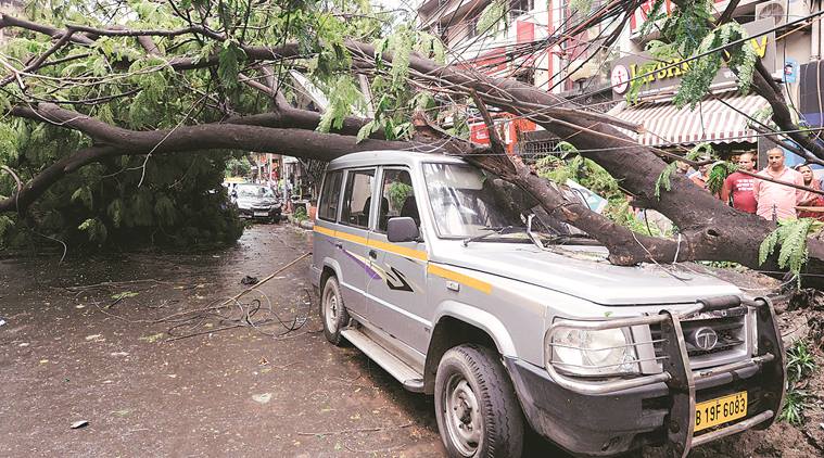 Kolkata: Heavy rain, wind disrupt life