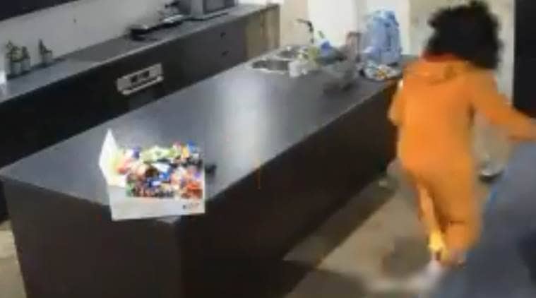 thief in lion costume, funny steal videos, funny burglary videos, thif in lion costume, indian express, indian express news