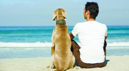 animals and politics, comparing people with animals, animal politics, indian politics, BJP, RSS, BJP politics, indian express, indian express news